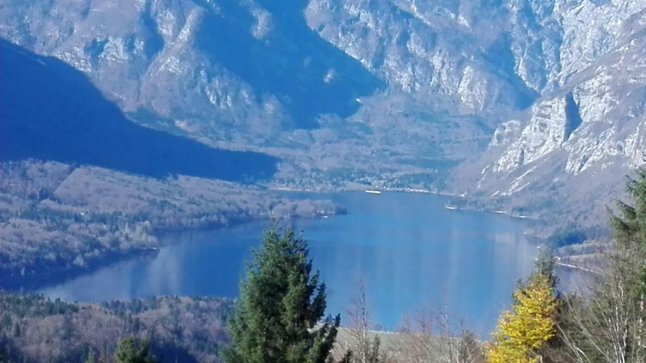 Апартаменты Apartmaji Korosec Na Koprivniku Koprivnik v Bohinju Экстерьер фото